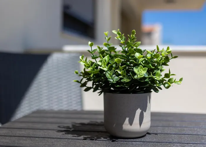 Διαμέρισμα Maria's Comfort Ρέθυμνο