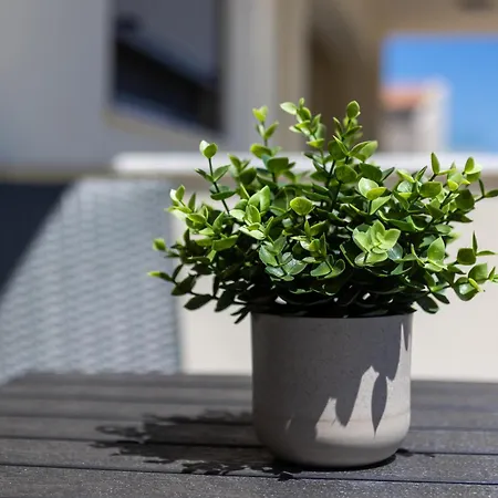 Apartament Maria's Comfort Rethymnon